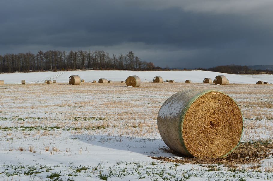 East Eifel, kunkskopf, wassenach, verbandsgemeinde brohltal HD wallpaper
