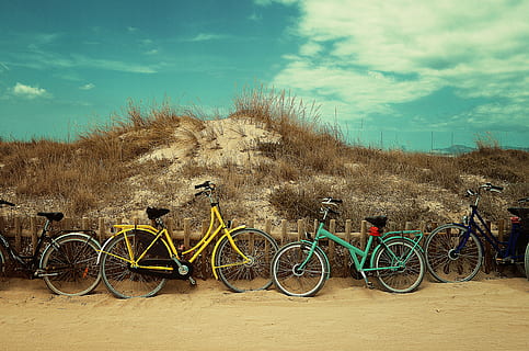 four assorted-color bikes parked beside wooden fence near brown grass HD wallpaper