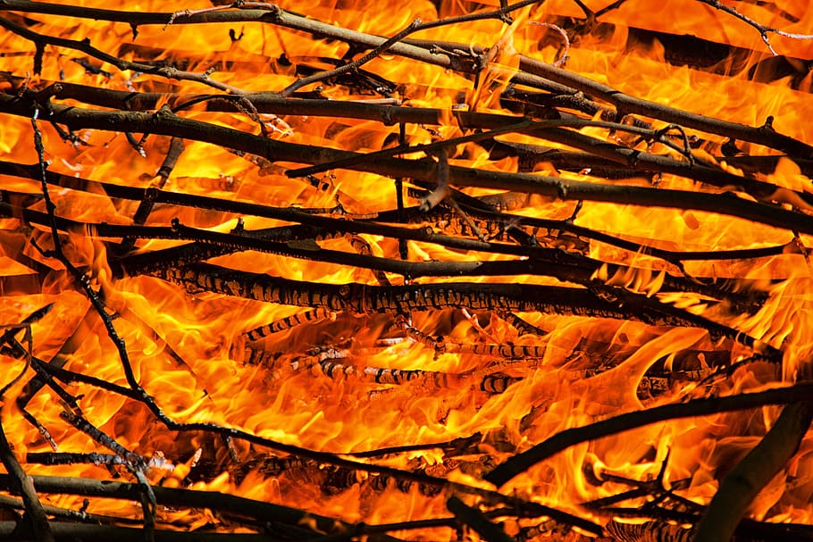 fire, flames, campfire, heat, lena, embers, orange color, heat - temperature HD wallpaper