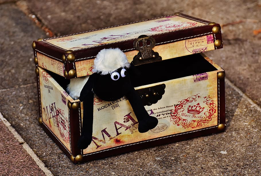 Sheep, Chest, Box, Funny, Animal, soft toy, stuffed animal HD wallpaper