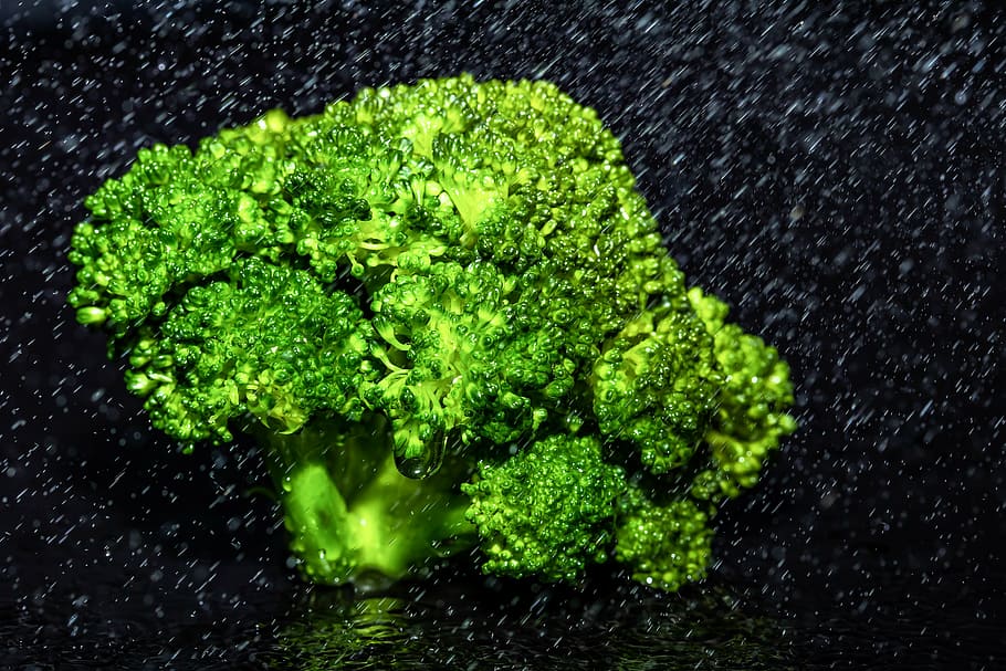 broccoli vegetable, kohl, vegetables, blanched, steamed, with water quenching HD wallpaper