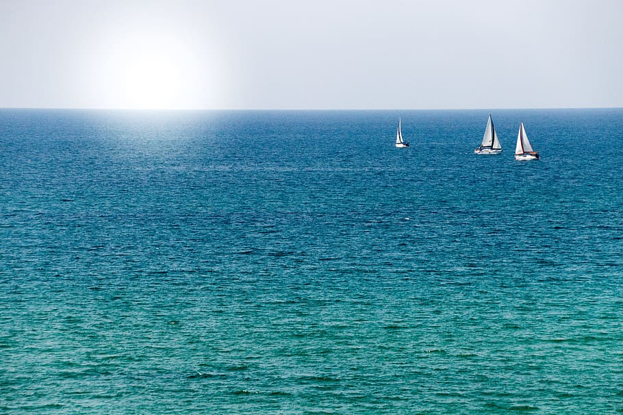 three sail boats on body of water, sun, sea, blue, ocean, summer HD wallpaper