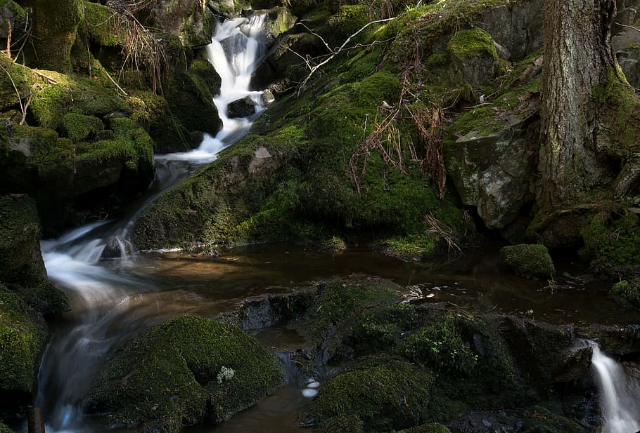 Stream, River, Water, Forest, the nature of the, green, waterfall HD wallpaper