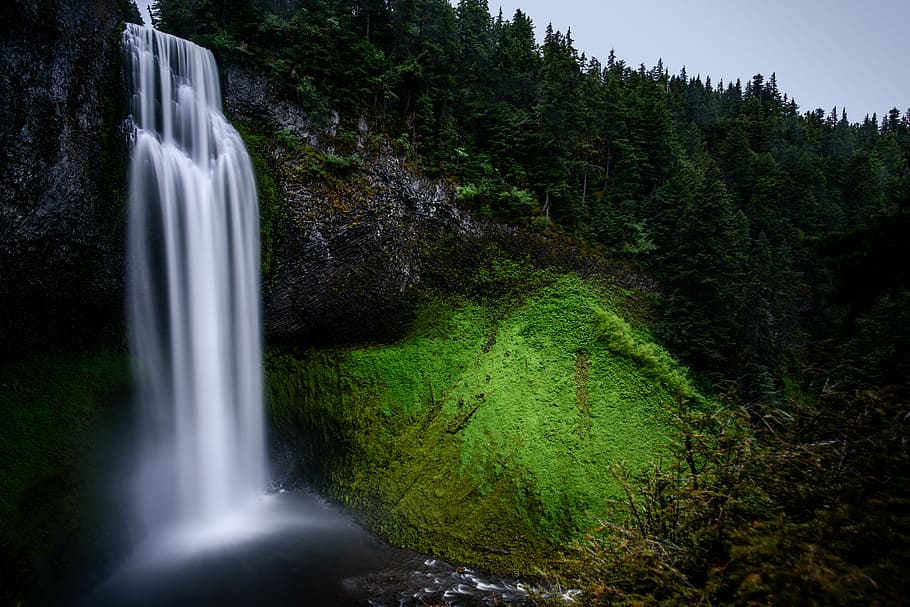 waterfalls near trees during daytime, waterfalls and forest, nature HD wallpaper