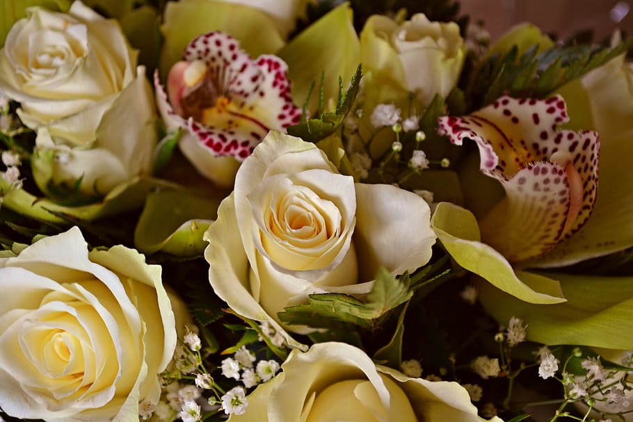 flowers, flower arrangement, roses, white roses, bridal veil
