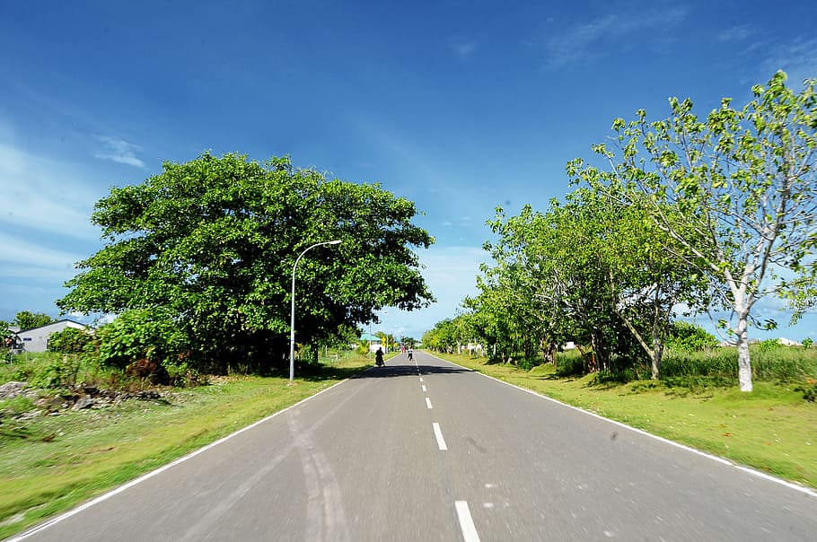 road, landscape, nature, sky, clouds, countryside, daylight, grass HD wallpaper