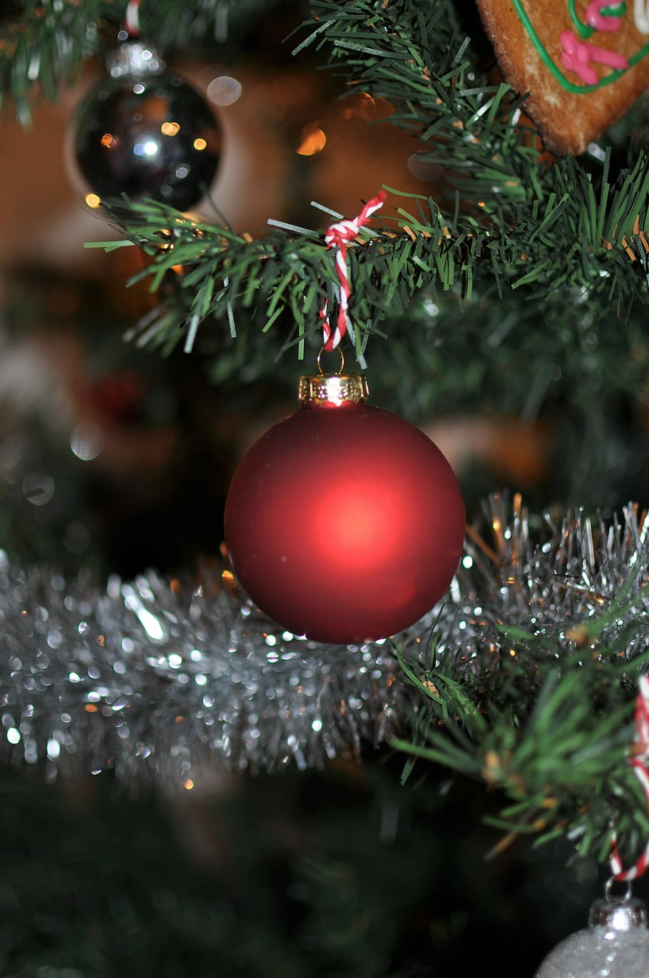 Gran, Christmas, julkula, christmas tree, christmas decoration HD wallpaper
