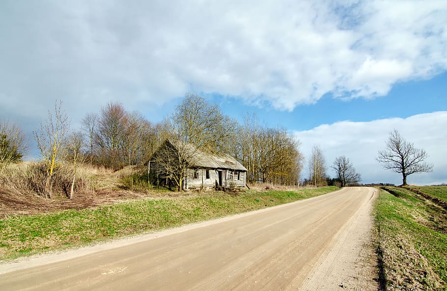 road, nature, grass, tree, guidance, cloud - sky, plant, the way forward HD wallpaper