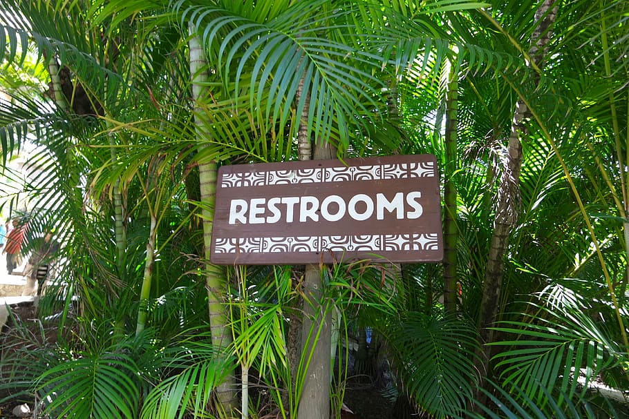 hawaii, tropical, signs, toilet, park, nature, text, western script