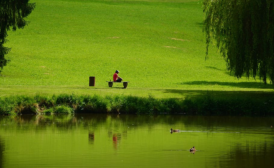 person sitting on bench, Meadow, Rush, Green, Rest, Mood, park HD wallpaper
