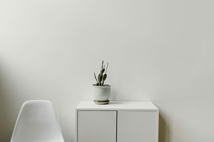 green plant on white cabinet, gray ceramic vase on white wooden cabinet HD wallpaper