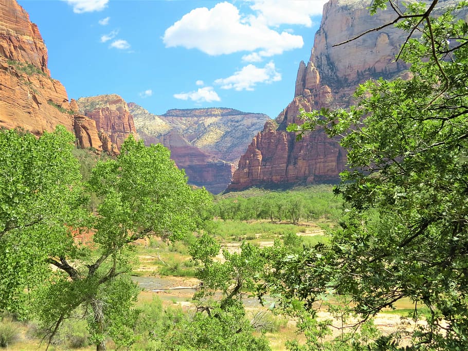 mountains, utah, landscape, scenic, national, park, plant, rock formation HD wallpaper