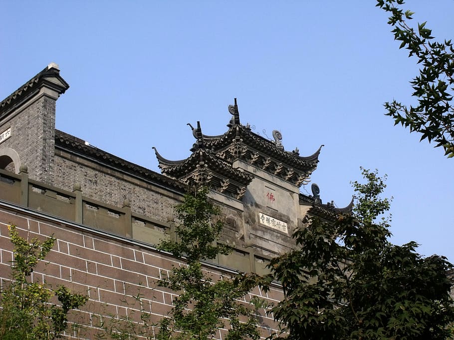 Temple, Building, Buddha, tree, low angle view, architecture HD wallpaper