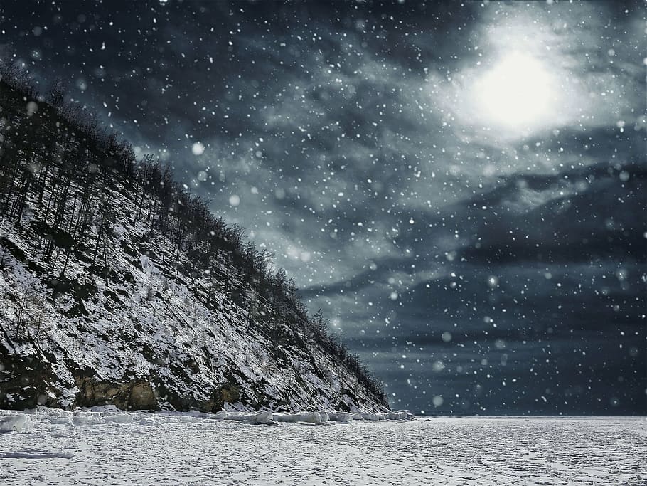 timelapse photography of falling snows, blizzard, winter, cold HD wallpaper