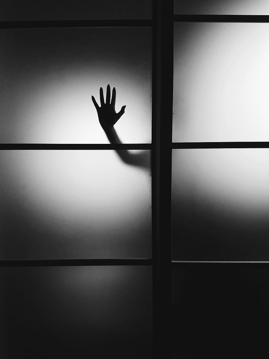 photo of person's hand on wall, silhouette of person's right hand on glass door HD wallpaper