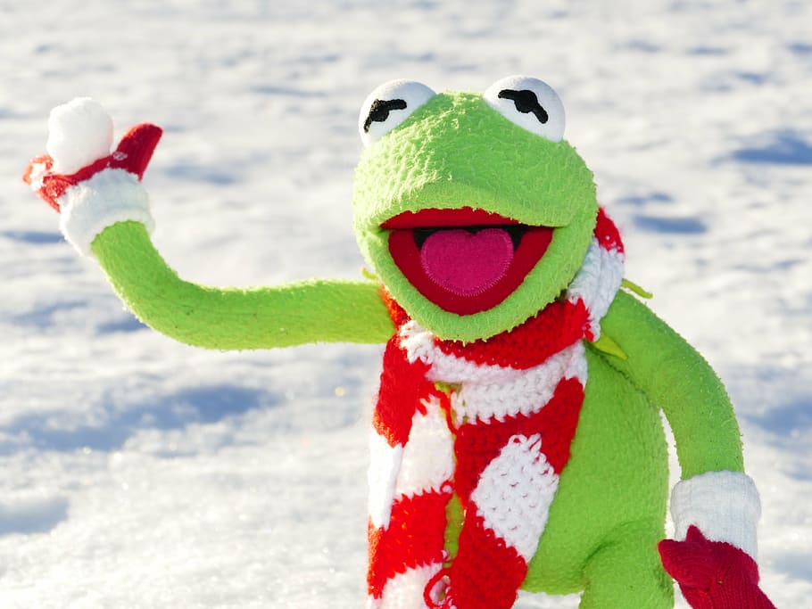 Kermit the Frog puppy, snow ball, throw, winter, cold, fun HD wallpaper