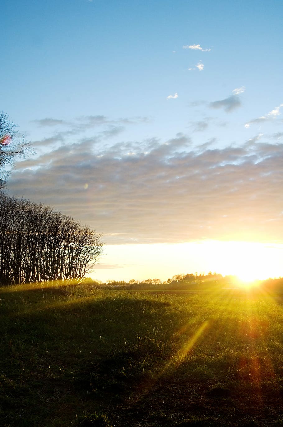 Sunset, Sunrise, Evening, sky, morning, sunlight, field, agriculture HD wallpaper