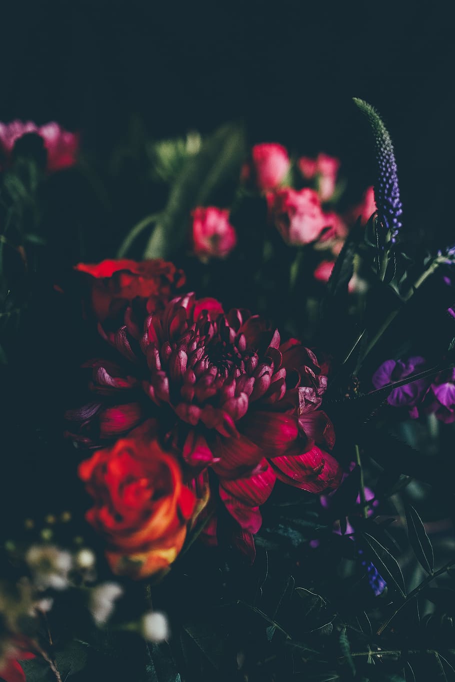 red and pink flowers, selective focus photograph of red flower HD wallpaper