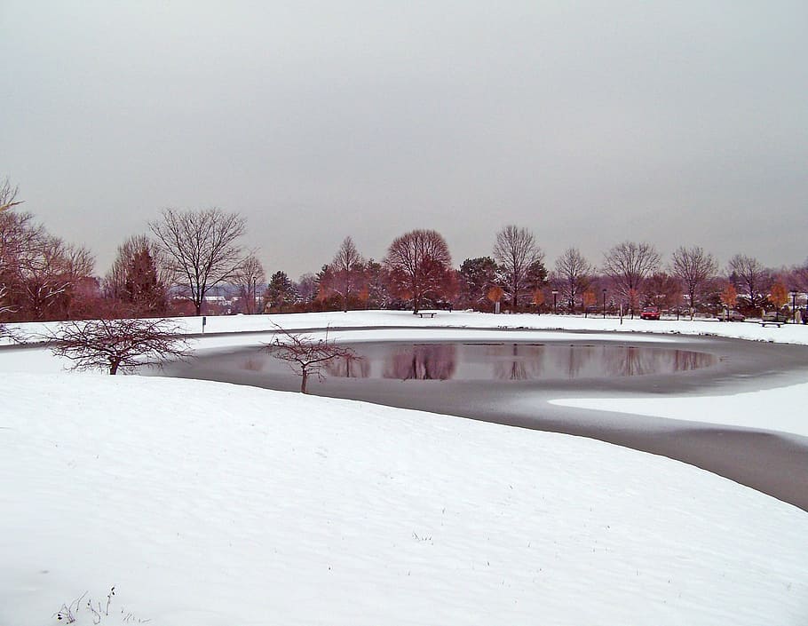 Frozen, Pond, Ice, Winter, Trees, Snow, cold temperature, white color HD wallpaper