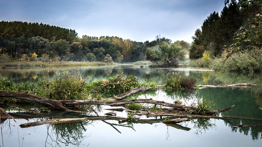 landscape, nature, sky, water, autumn, daylight, dirty, fall HD wallpaper