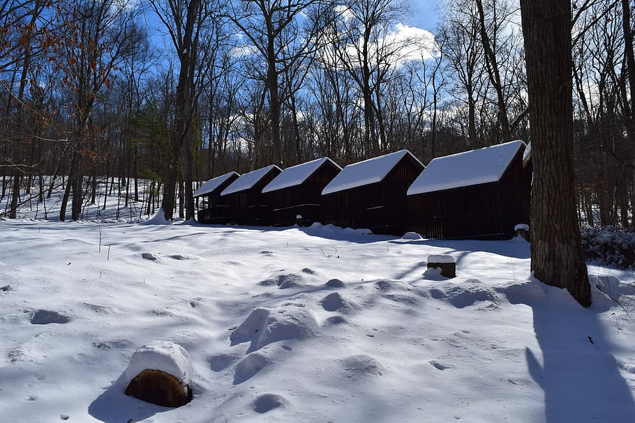 Snow, Winter, Cabins, Cold, White, season, nature, frost, landscape HD wallpaper