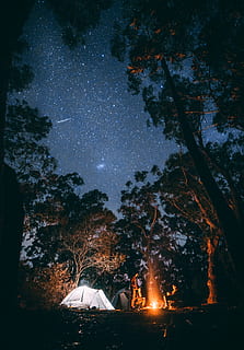 person sitting near bonfire surrounded by trees, group of people in front of fire beside whit tent HD wallpaper