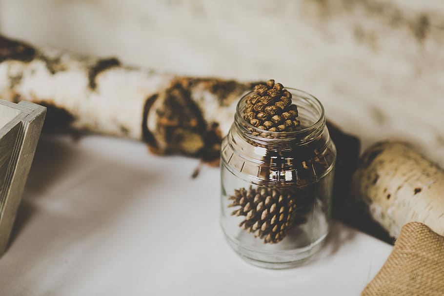 pine cones in clear glass jar in macro photography, pine cones in clear glass jar HD wallpaper