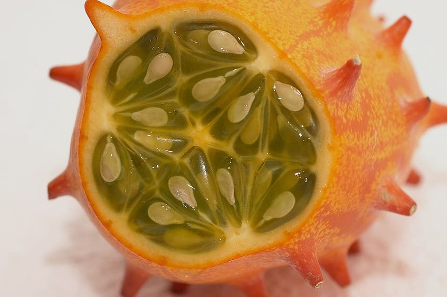 horn cucumber, fruit, horn melon, kiwano, cucumis metuliferus HD wallpaper