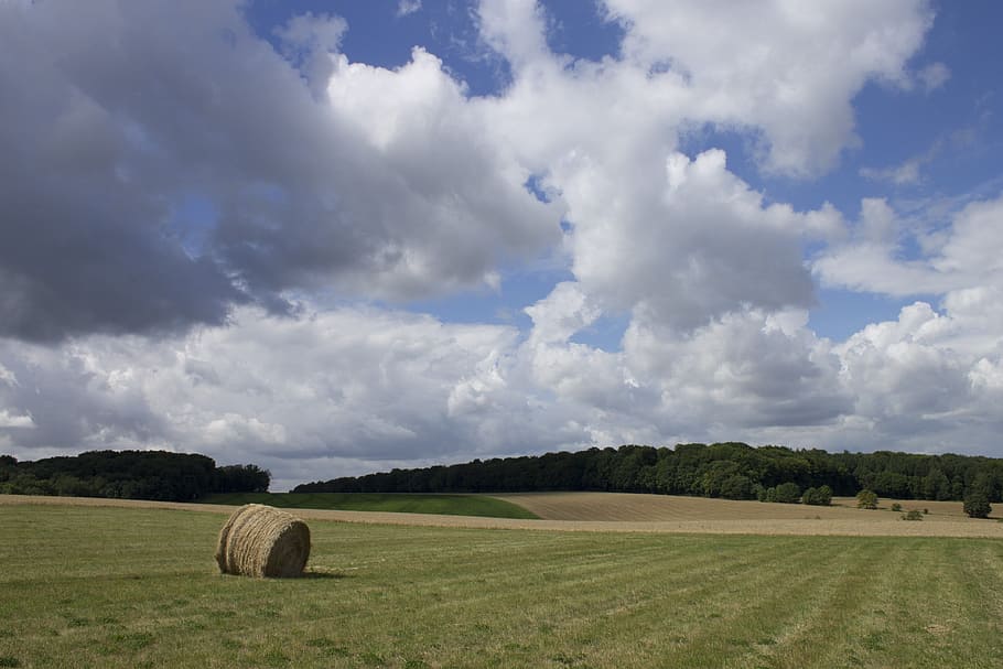 field, sky, clouds, cloud cover, summer, green, grass, nature HD wallpaper