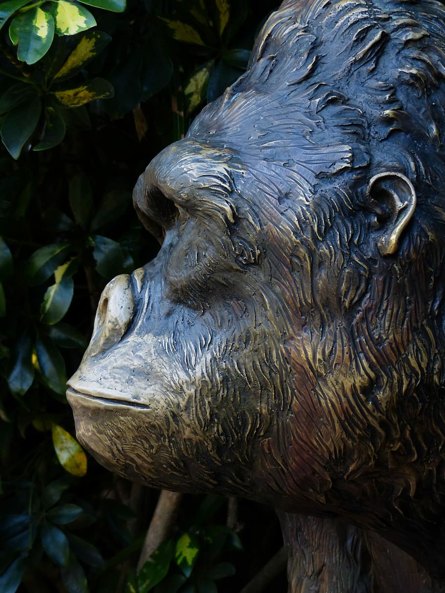 Monkey, Bronze Statue, Figure, Animal, ape, chimpanzee, animal body part HD wallpaper