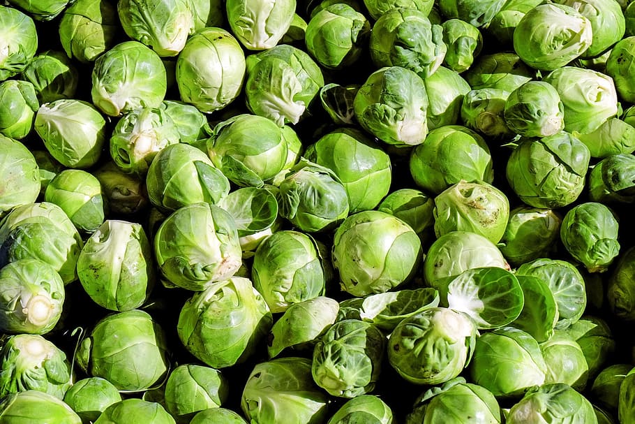 green iceberg letus, kohl, rosenkoehlchen, cabbage, vitamins HD wallpaper