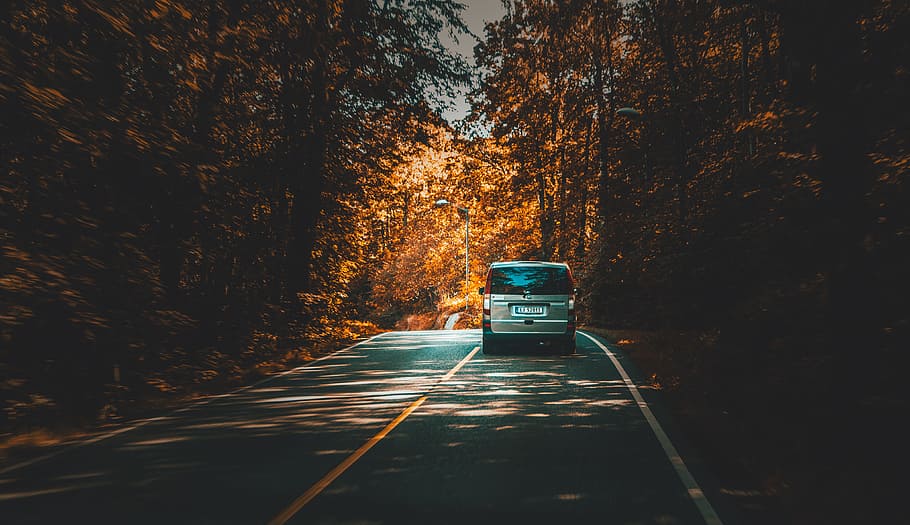 road, path, car, vehicle, trees, plant, nature, forest, travel HD wallpaper