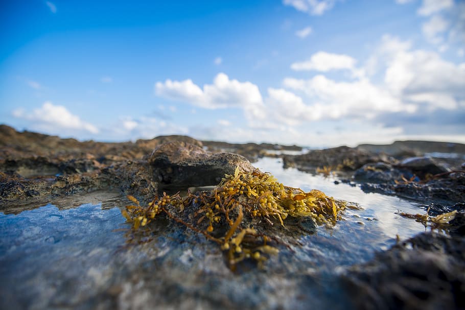 beach, nature, sky, summer, sea, water, vacation, rock, rock - object HD wallpaper