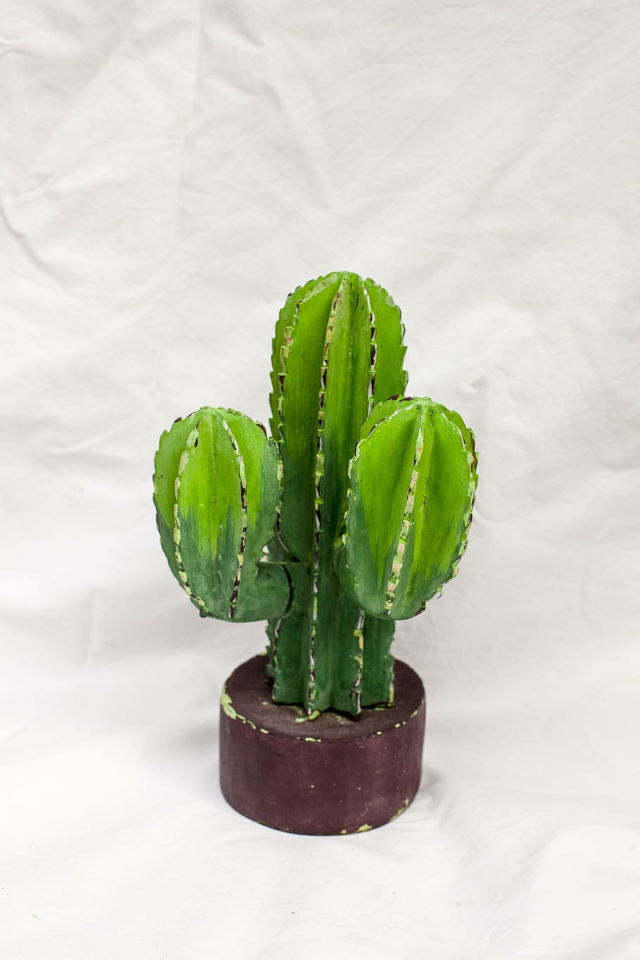 cactus, cacti, nature, green, thorn, needle, prickly, succulent HD wallpaper