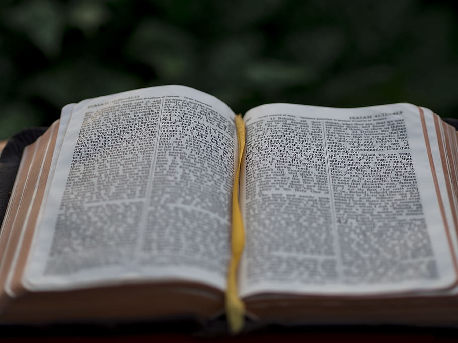 opened book with bookmark, opened book, bible, scripture, reading HD wallpaper