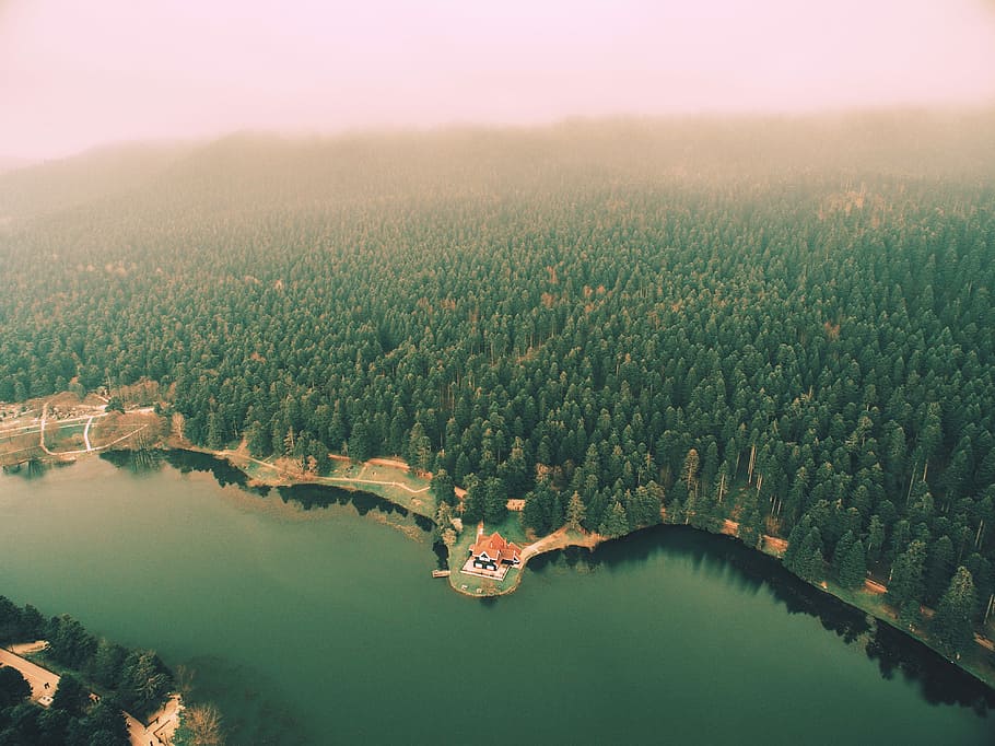 bird's-eye view photo of calm body of water with tall trees, aerial photography of green trees near body of water at daytime HD wallpaper