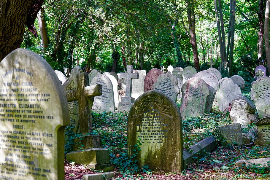 gravestones, cemetery, tomb, tombstone, graveyard, death, religion, HD wallpaper