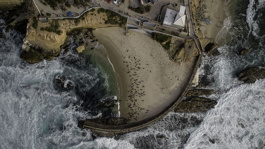 aerial photo of beach, aerial photo of ocean, Children’s, Pool HD wallpaper