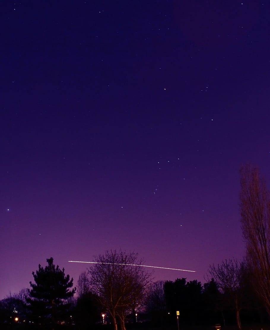night, stars, blue, star - space, tree, sky, astronomy, scenics - nature HD wallpaper
