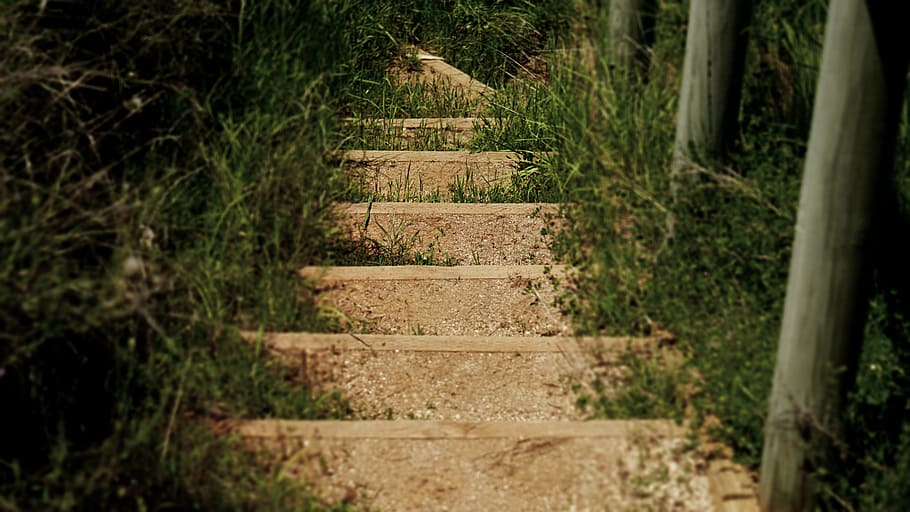 steps, stairs, grass, walkway, nature, person, footpath, staircase HD wallpaper