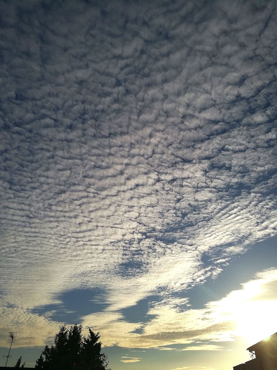 clouds, sky, sun, blue, contrast, backlight, tree, sunset, strata HD wallpaper
