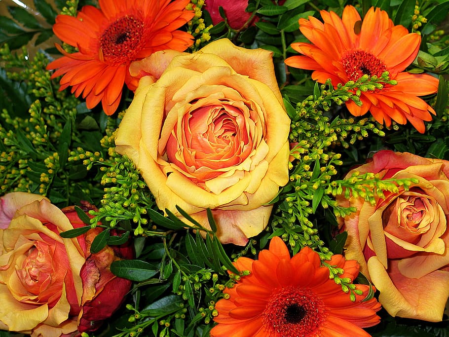 yellow rose and red gerbera daisy flowers, bouquet of flowers, HD wallpaper