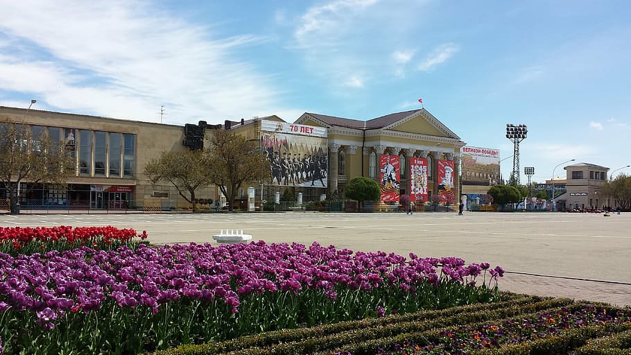 may, stavropol, flowers, flowering plant, architecture, building exterior HD wallpaper