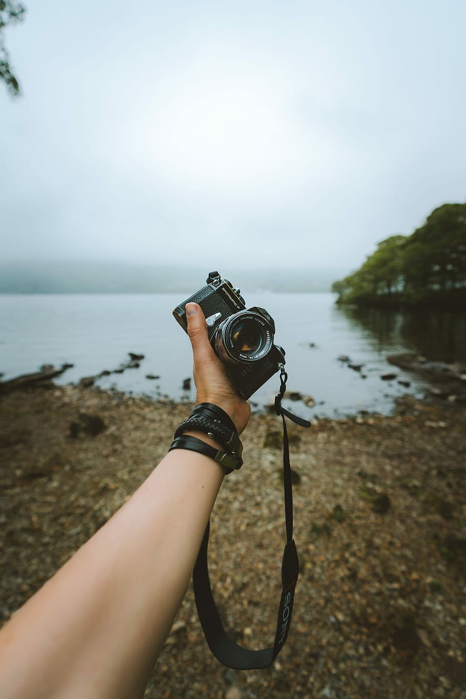 person holding black DSLR camera on seashore, person holding camera near body of water HD wallpaper
