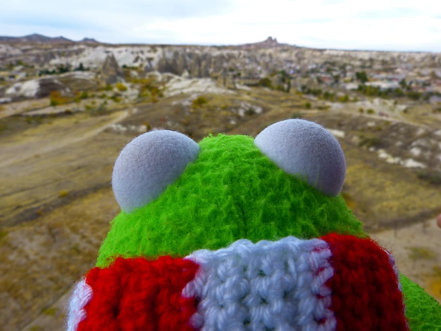 kermit, frog, outlook, good view, uchisar, tufa, wool, close-up HD wallpaper