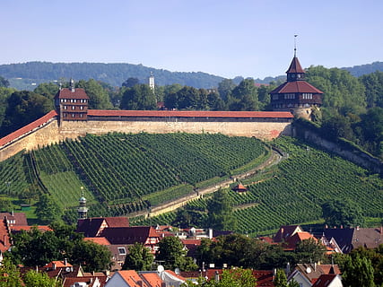 esslingen, castle, thick tower, high controls, vineyard, built structure HD wallpaper