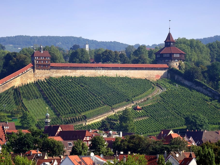 esslingen, castle, thick tower, high controls, vineyard, built structure HD wallpaper