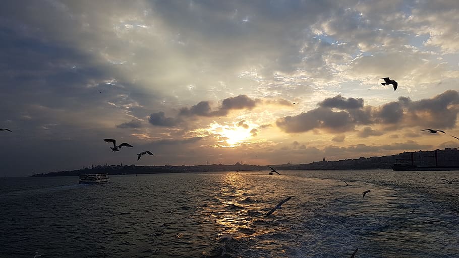 Sunset, Sea, Ocean, Water, sky, landscape, sunlight, orange HD wallpaper