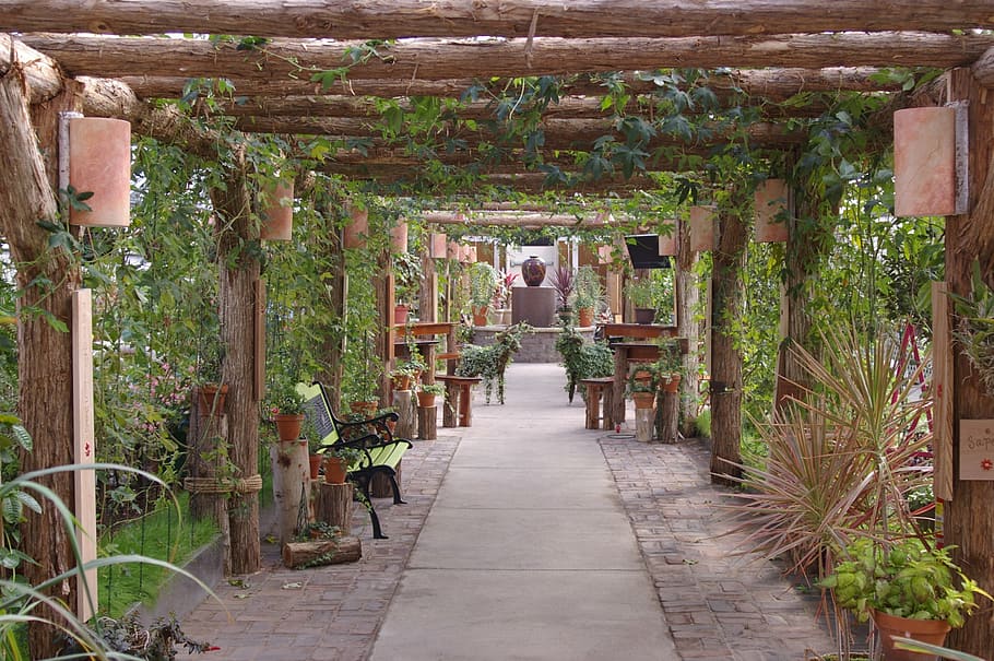 garden, tranquil, serene, wood - Material, architecture, built structure HD wallpaper