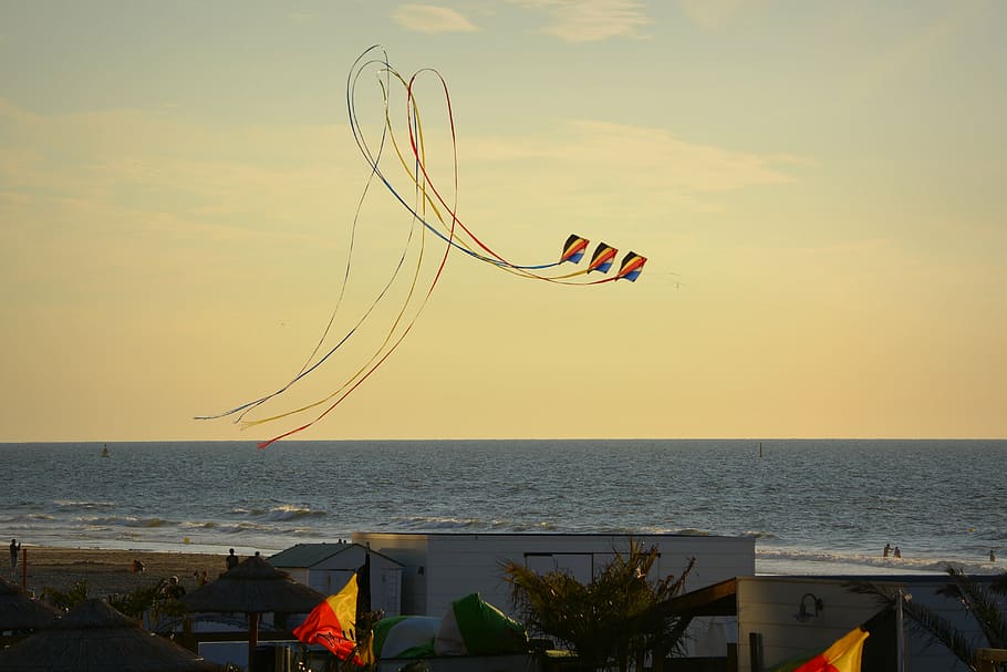 wind kite, blue sky, air, clouds, sea, beach, looping, water HD wallpaper